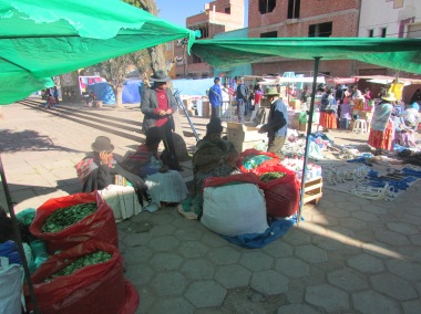 Selling Bolivia's famous national product....the Coca leaf. Bolivians a very proud of the traditional uses of Coca and don't like its link with Cocaine